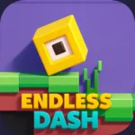 ENDLESS DASH